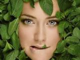 Применение мяты в рецептах красоты и здоровья