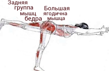 Физические упражнения для стройной фигуры