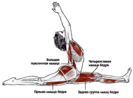 Физические упражнения для стройной фигуры