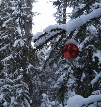 Новогодняя красота 